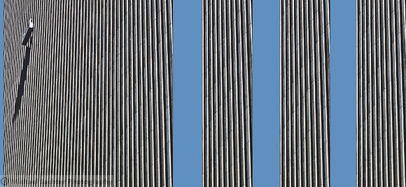 Urban Bamboo -Blue