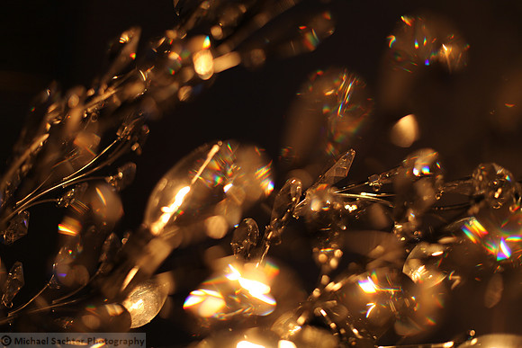 crystal garden