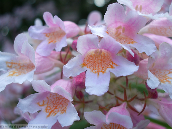 various june 12 200913