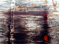 Coming and Going-Vancouver Harbour _ Michael Sachter_Contact