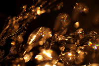 crystal garden