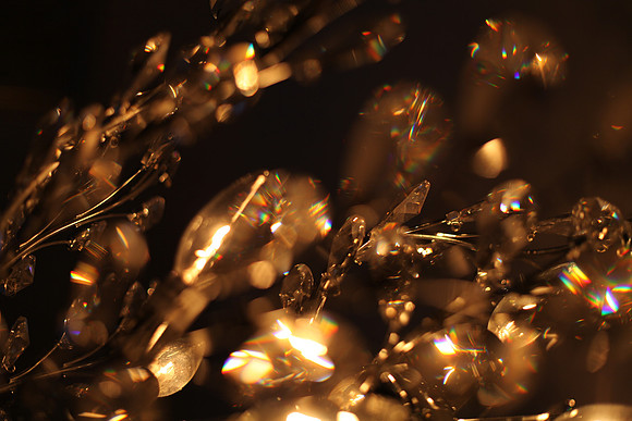 crystal garden