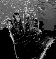 Liquid hand 1