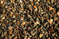 IMG_8377_1