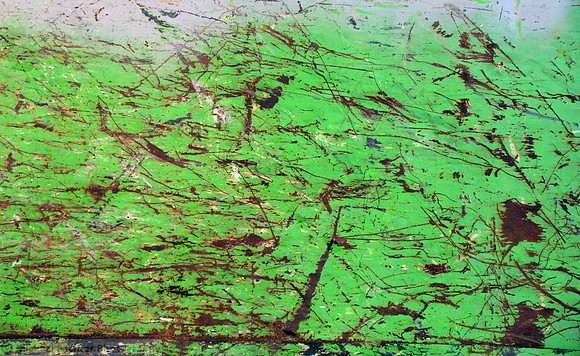 IMG_8449_1v1 horizontal