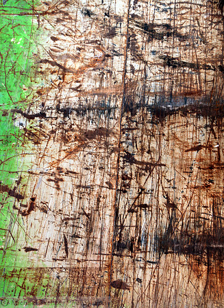 IMG_8446 v1 vertical cropped
