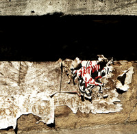IMG_8489 v1 cropped boost contrast and brightness