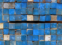 DSCF2180 Blue Mood