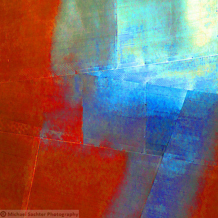 Rare Earth IMG_8575 crop 4 20 x20 resize