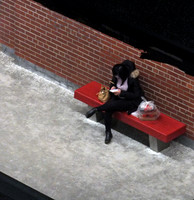 DSCF3028 v1 Red Bench