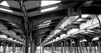 IMG_0125 cropped bw solarize_Bright and Con v2
