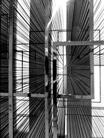 DSCF3155 bw