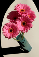 IMG_8409 v1