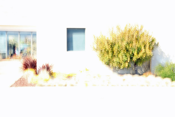 California Dream 1