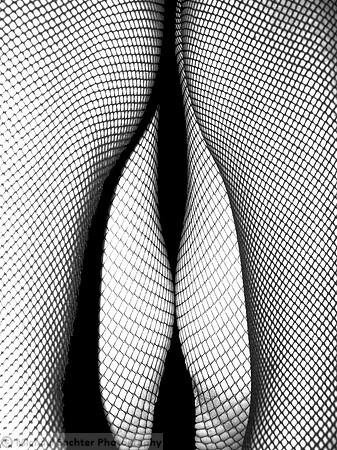 Shapes Curves and Lines CONTACT 16  x 12 bw revised