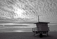 IMG_8045 BW cropped