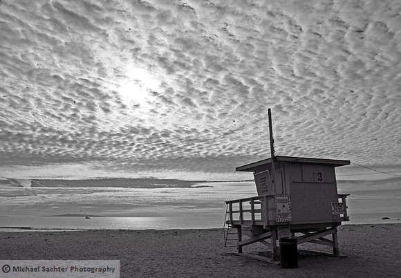 IMG_8045 BW cropped
