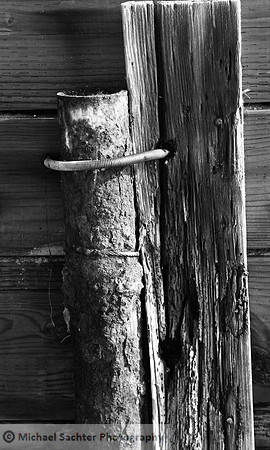 IMG_8039 please stay cropped