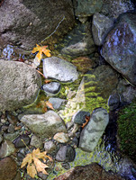IMG_8893 v1 cropped