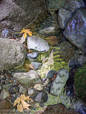 IMG_8893 v1 cropped