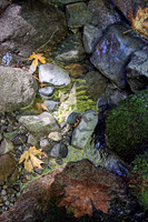 IMG_8893 v1