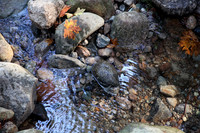 IMG_9003 v1