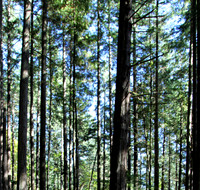 IMG_8886 crop and adj angle
