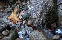 IMG_9005 cropped