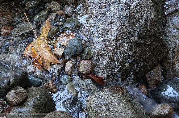 IMG_9005 cropped