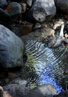 IMG_8889 crop tall