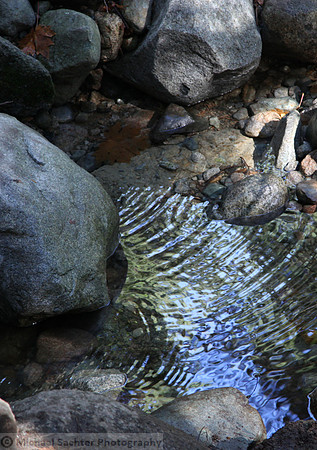 IMG_8889 crop tall