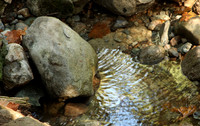 IMG_8891 cropped