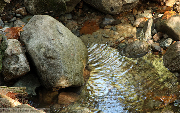 IMG_8891 cropped