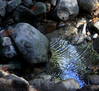 IMG_8889 crop sq