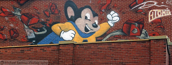 DSCF2171 Rodent Superior