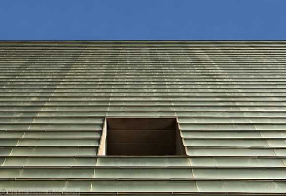 In and Out IMG_4943 v5 copy