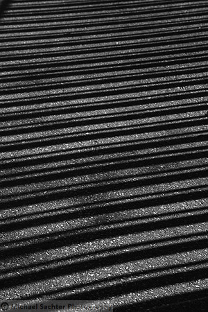 Sun Stream 3 IMG_1185