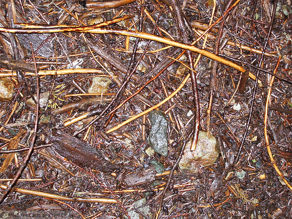 intertwined