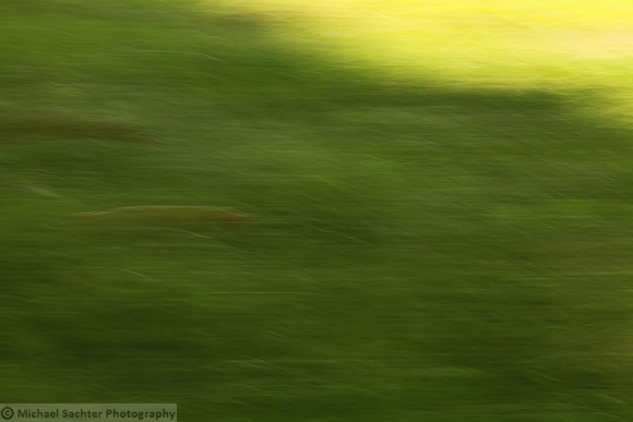 FLOW 2 IMG_3815