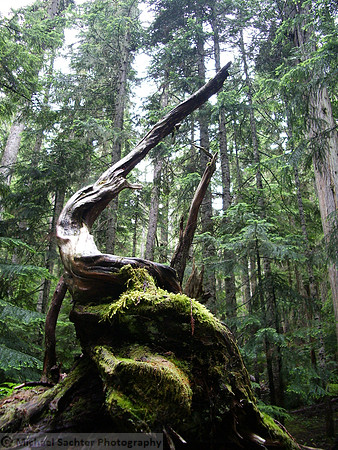 BC with Doug and Mike July 0766_rotation