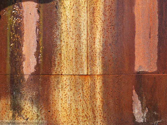 DSCF1317