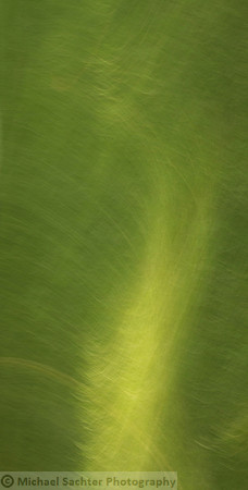 FLOW 5 IMG_3837 v2