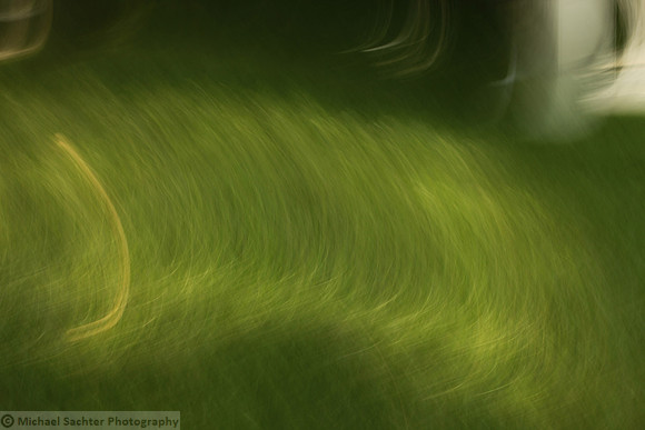 FLOW 4 IMG_3834