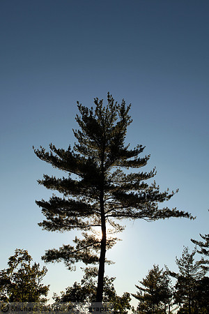IMG_3867 a