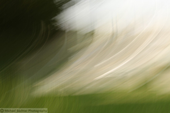 FLOW 3 IMG_3831