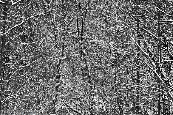 IMG_6291a bw