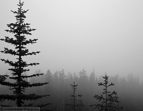 BC with Doug and Mike July 0724 v1 bw