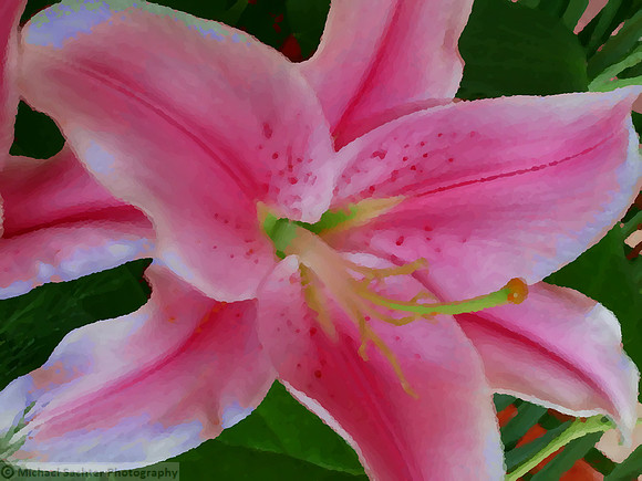 pink lillies painted 1