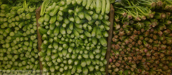 Veggie Condo IMG-20120106-00401