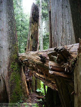 BC with Doug and Mike July 0761_rotation